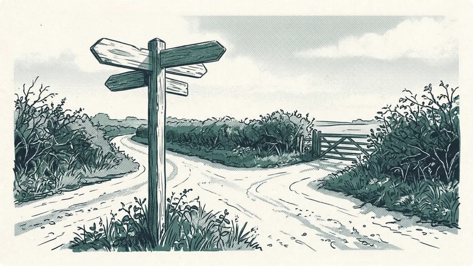 A wooden signpost at a fork in a quiet country lane.